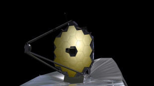 Webb telescope: NASA to reveal deepest image ever taken of Universe 