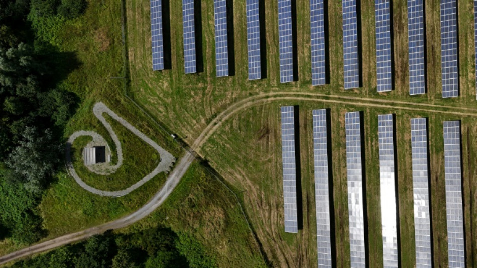 Zufallsgewinne und Merit Order: Karlsruhe verhandelt &uuml;ber Strompreisbremse