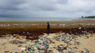 Sierra Leone: des algues marines nauséabondes perturbent la pêche et le tourisme