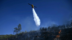Evacuaciones y casas dañadas por un violento incendio forestal cerca de Atenas