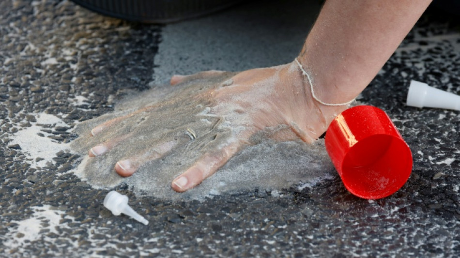  Landgericht lehnt Anklage von Klimaaktivistin wegen krimineller Vereinigung ab 
