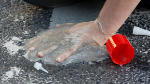 Landgericht lehnt Anklage von Klimaaktivistin wegen krimineller Vereinigung ab