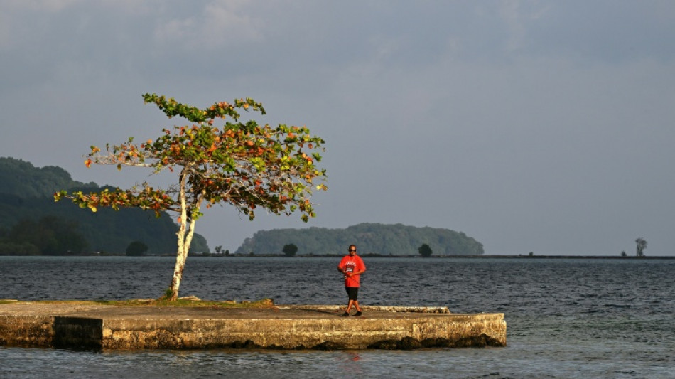  World leaders need to see rising oceans in Pacific: UN official 