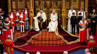 Charles III pronuncia seu primeiro 'Discurso do Rei' com as eleições no horizonte