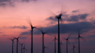 Bundesverfassungsgericht beginnt mit Verhandlung &uuml;ber Strompreisbremse