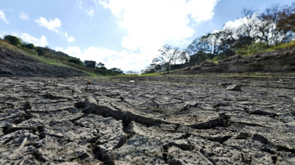 Honduras declara alerta en 64 municipios amenazados por sequía