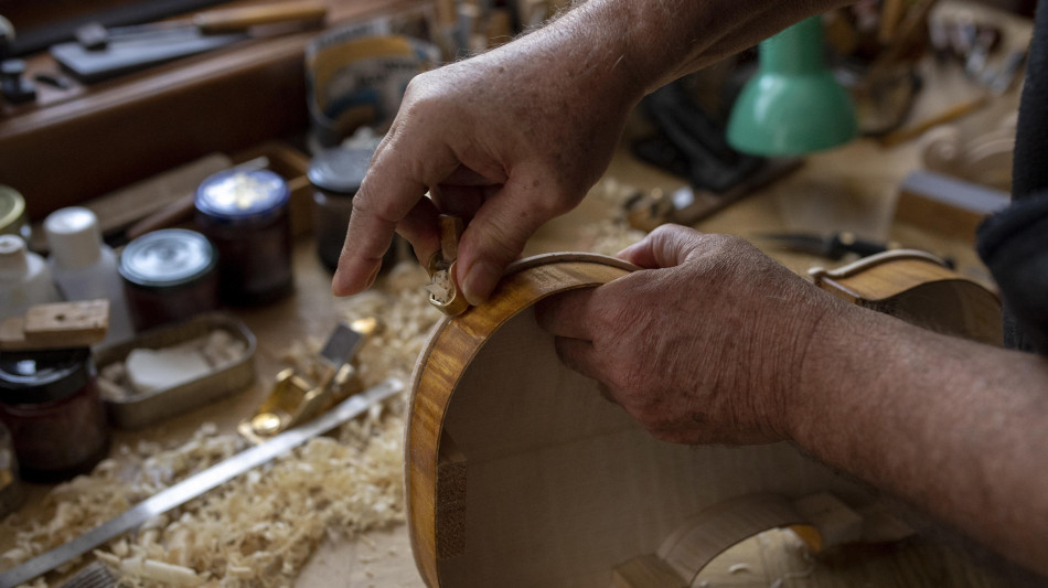  Il legno che si piega ma non si spezza, &egrave; stato sviluppato in Italia 