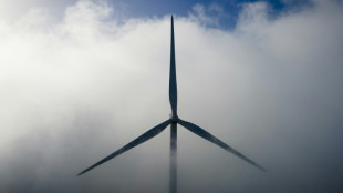Renouvelables: la France accélère l'éolien sans rattraper son retard