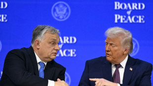 Trump ruft zur Wiederwahl von Ungarns Regierungschef Orban auf