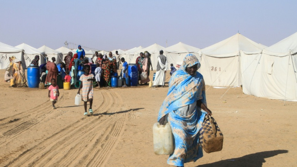 Sudan's El-Fasher under the RSF, destroyed and 'full of bodies'