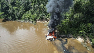 Brasil e Colômbia fazem operação contra garimpo ilegal na Amazônia