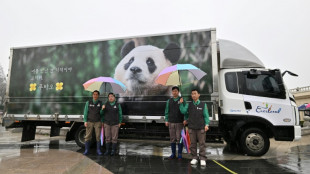 S Korean fans bid farewell to internet-famous panda Fu Bao