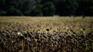 Umfrage: Besorgnis über gesundheitsschädliche Umweltprobleme sinkt
