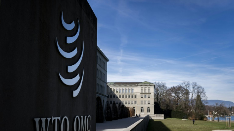  WTO must 'reform or die': talks facilitator 