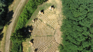 Torna 'Romagna in fiore', con Fabi, Finardi, Irene Grandi, Motta, Bandabardò