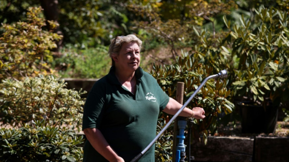 La sequ&iacute;a siembra de dudas el futuro de los tradicionales jardines ingleses
