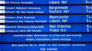 Bahn stoppt wegen nahenden Sturms sukzessive Verkehr in Norddeutschland 