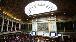 La r&eacute;forme du scrutin &agrave; Paris, Lyon et Marseille franchit une haie &agrave; l'Assembl&eacute;e