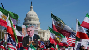 'Long live the shah': Iranian diaspora back war at Washington rally