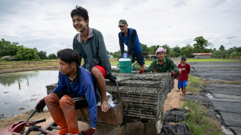  'Don't have to hide': Thai IDs, legal work give hope to Myanmar refugees 