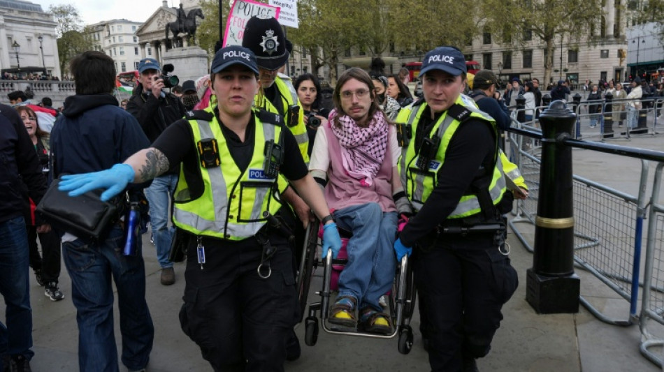  Over 200 arrested at pro-Palestinian rally in London 