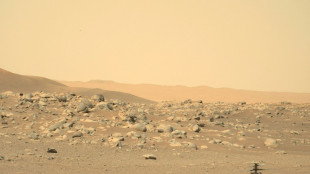 Nasa restabelece contato com seu helicóptero em Marte