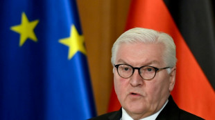 Steinmeier erschüttert über Ausmaß antisemitischer Gewalt in Deutschland