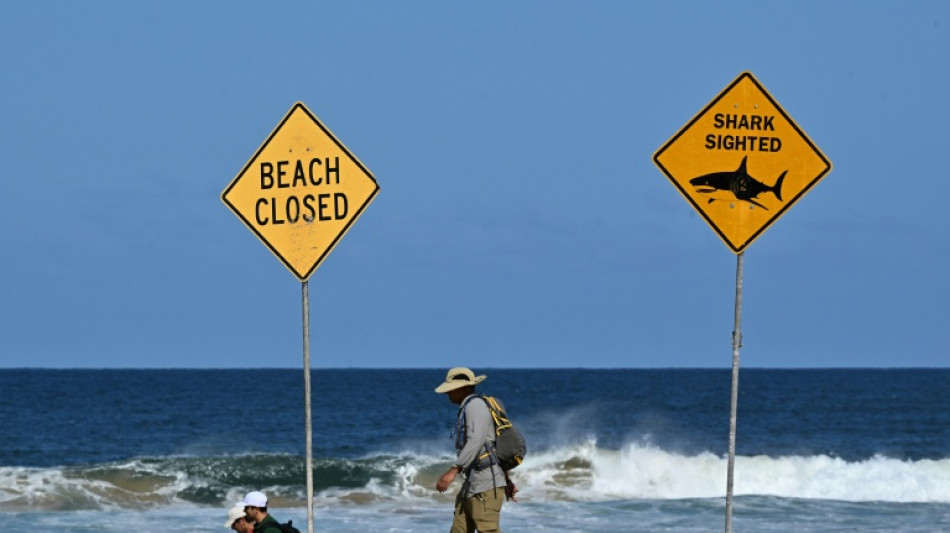 "Großer Hai" tötet erfahrenen Surfer vor der Küste Sydneys