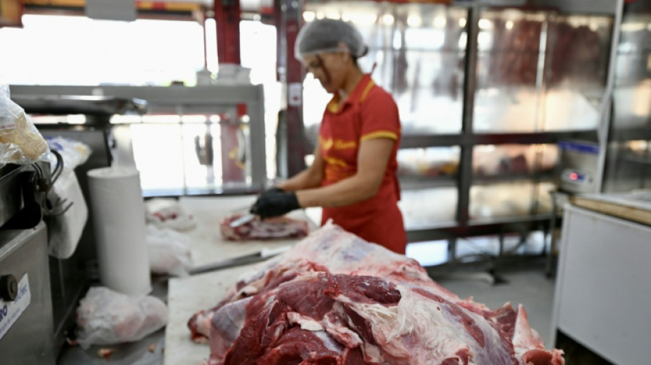  Picanha, prato principal da direita para frear a reelei&ccedil;&atilde;o de Lula 