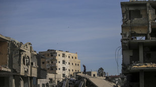 Wafa, 'attacchi israeliani su Gaza, 13 morti'