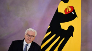 Steinmeier will mit "Ehrentag" gesellschaftliches Miteinander st&auml;rken