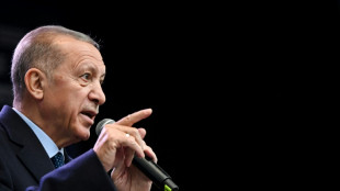 Erdogan defende Putin após acusação de interferência eleitoral