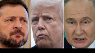 Zelensky accuses Russia of rejecting ceasefire after new strikes