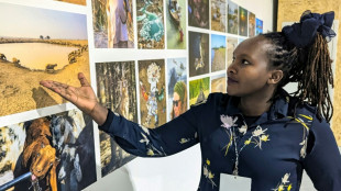 D&eacute;&ccedil;ue, frustr&eacute;e, pessimiste: une climatologue k&eacute;nyane &agrave; la COP29