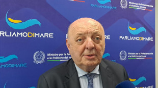 Pichetto, conto che ddl sul Nucleare sia approvato entro luglio