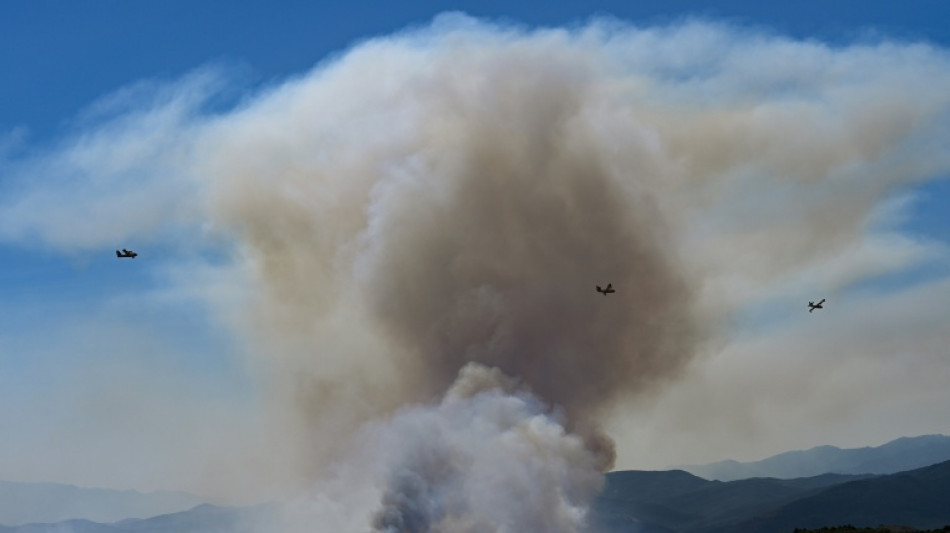  Plus de 1.300 hectares parcourus par un nouvel incendie dans les Pyr&eacute;n&eacute;es-Orientales 