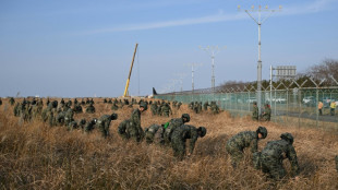 Offenbar nur zwei &Uuml;berlebende nach missgl&uuml;ckter Landung von Flugzeug mit 181 Insassen in S&uuml;dkorea
