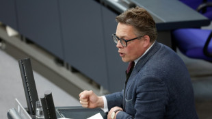 Gr&uuml;ne fordern Sicherheitsoffensive gegen hybride Bedrohungen