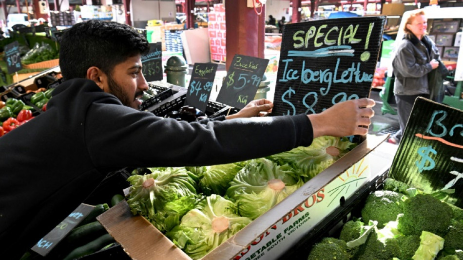 Australische Regierung berät über starken Preisanstieg bei Kopfsalat