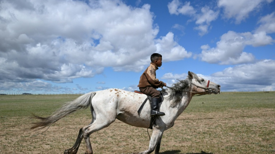  En Mongolie, des enfants jockeys au galop avant les courses du Naadam 