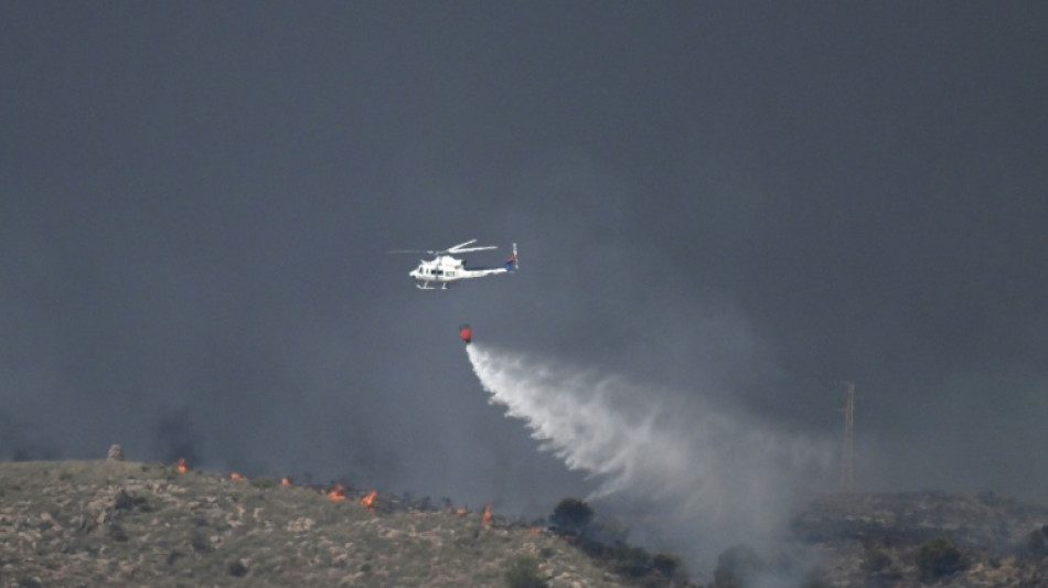  Foreigners among 11 dead in Spanish wildfires 