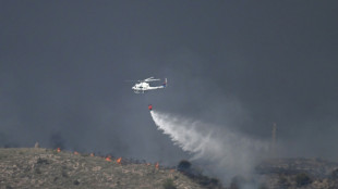 Foreigners among 11 dead in Spanish wildfires