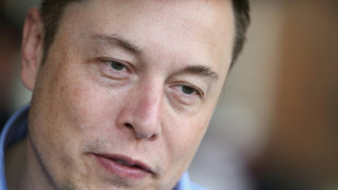 Musk says doing 'best' to boost birth rates 
