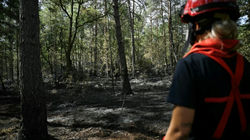  Macron pledges 'zero tolerance' for arson after spate of fires in France 