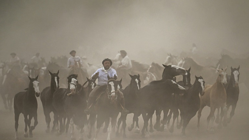 Horseman and hero: Who is Argentina's 21st century gaucho?