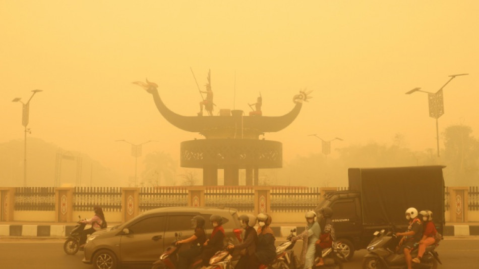  La pollution due aux incendies a tu&eacute; 3.560 Indon&eacute;siens en septembre  