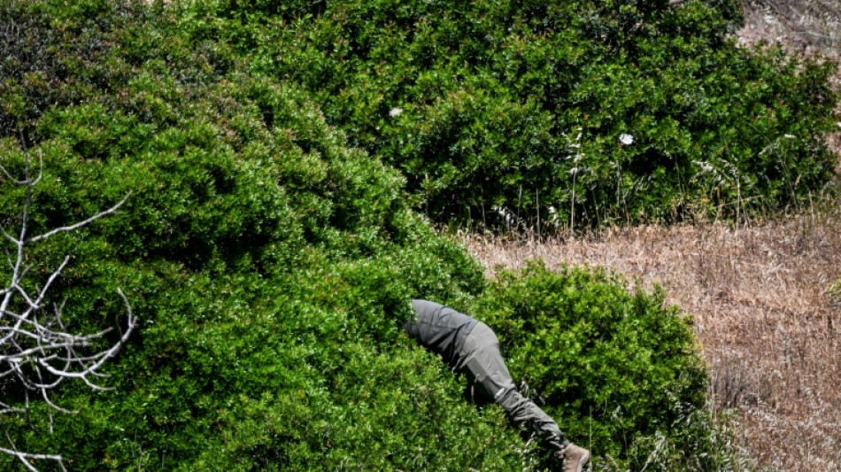 Nova investiga&ccedil;&atilde;o sobre caso Maddie em Portugal &eacute; conclu&iacute;da sem resultados divulgados