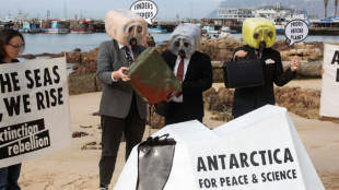 Acordo global para áreas de proteção marinha na Antártica é negociado no Chile