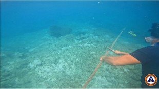 Streit mit China: Philippinen entfernen schwimmende Barriere vor Fischgründen