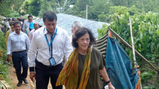 UNO: Sondergesandte für Myanmar tritt zurück
